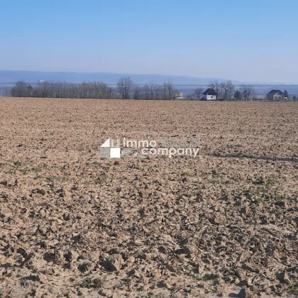 Einmalige Gelegenheit großer Grund mit Bohrrecht Thermalwasser - Unique opportunity to acquire large land near Heviz with drilling rights for thermal water. - Bild 3