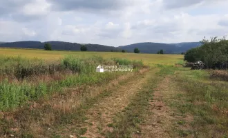 Günstiger Baugrund in ruhiger Siedlungslage! Nähe Abenteuerpark/Balaton - Auch als Geldanlage geeignet. Építési telek eladó! Na predaj stavebné pozemky, bez provízií!