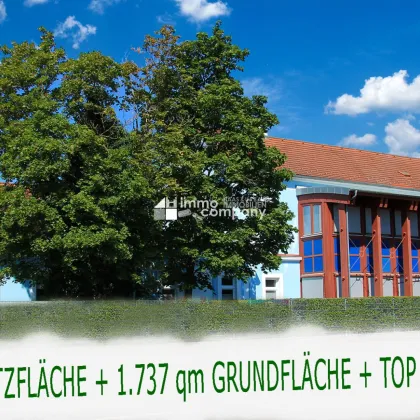 TOP - ZUSTAND - 404 qm WOHNNUTZFLÄCHE plus 1.737 qm GRUNDFLÄCHE , es erwartet Sie eine einzigartige und außergewöhnliche Liegenschaft. - Bild 2