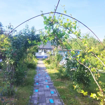 Erstbezug nach Sanierung - Kleingartenhaus mit wunderbarem Garten in Hainburg an der Donau - Bild 3