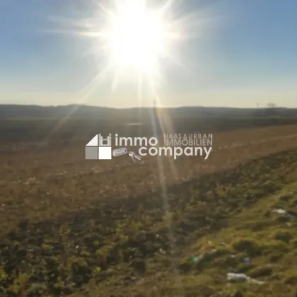 Sonniger Baugrund bei Jennersdorf - Bild 2