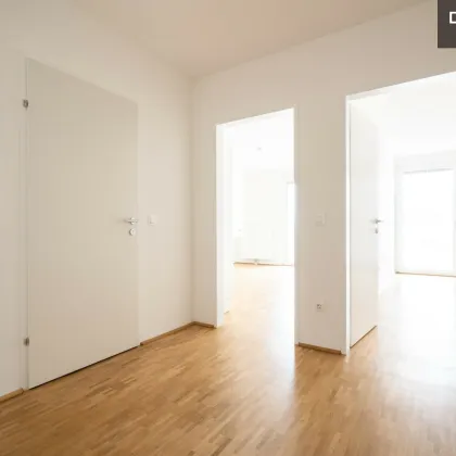 | NÄHE FH JOANNEUM | SÜDBALKON | FOKUS WEST | ZWEI ZIMMER - Bild 2