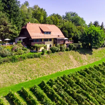 Verwandlung von Grünland in Wein- und Urlaubsparadies - Bild 2