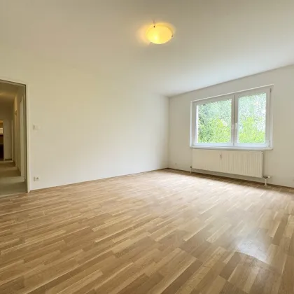 Topsanierte 4-Zimmer-Wohnung in ruhiger Lage mit idyllischem Flair! Zwei Parkplätze inklusive! - Bild 3