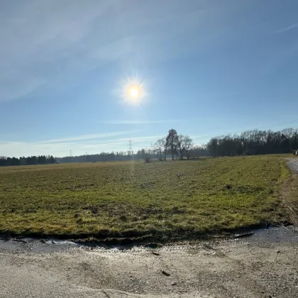 Traumhafter Baugrund in Gössendorf: Perfekte Lage für Ihr Eigenheim - Jetzt zugreifen! - Bild 3