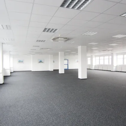 Lagerhalle 650 m2 mit Büro 230 m2 Kombination südlich von Wien, in Wr. Neudorf - Bild 2