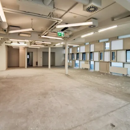 600 m2 Büro in 1140 Wien - Bild 2