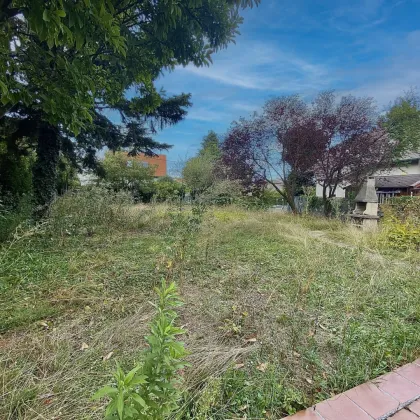 EINFAMILIENHAUS I riesiger Garten I Balkon + Terrassen I Garage I herrliche Ruhelage - Bild 2