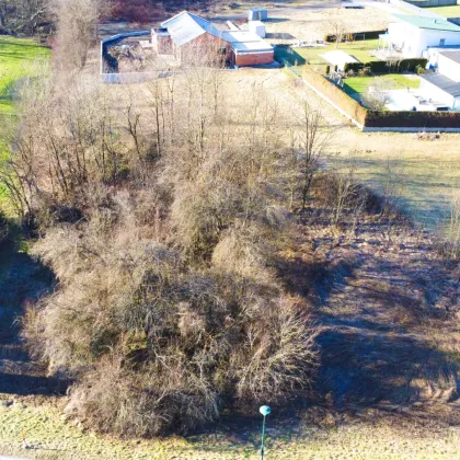 Paradies gefunden: Exklusives Baugrundstück in Pischeldorf – Ihr Traum vom Wohnen in der Natur wird wahr! - Bild 3