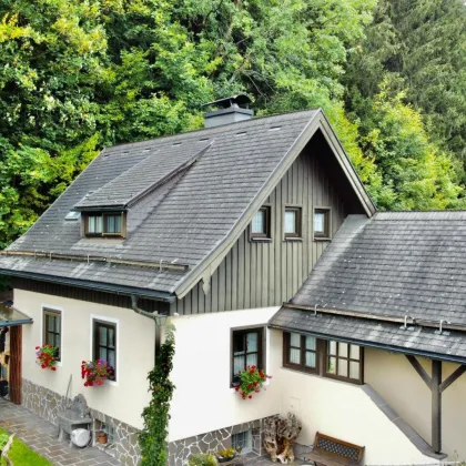 Einfamilienhaus am Waldrand - Bild 2