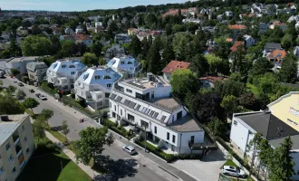 THE GREENERY .  Perfekte 2-Zimmer WHG mit Terrasse - Bezugsfertig im August !