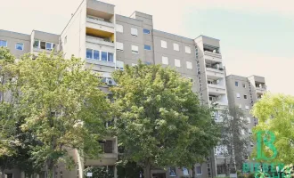 Ruhige, renovierungsbedürftige 3-Zimmer Wohnung mit Loggia und Grünblick