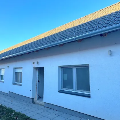 Modernes Haus mit großem Garten und 2 Garagen in Hornstein, Burgenland - Perfekt für Paare! - Bild 3