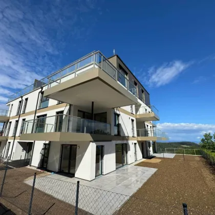 Neubau-Erstbezug Kleinwohnung Top 6 in Kirchschlag zu vermieten - Bild 2
