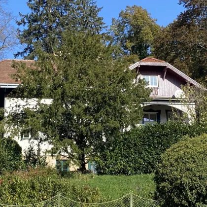 Charmante Jahrhundertwende-Villa auf Südhang im Pressbaumer Zentrum - TEILSANIERT! - Bild 2