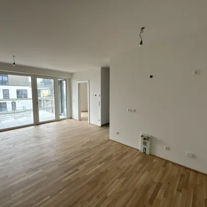 Neubau-Erstbezug Kleinwohnung Top 14 Haus Süd in Kirchschlag zu vermieten - Bild 2