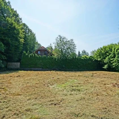 Ebenes Baugrundstück in sonniger Ruhelage -       nur 2 km vom Pressbaumer Zentrum - Bild 2