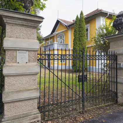 Ein Büro der Sonderklasse in der Villa Osterhof | Absolute Rarität in der Vorstadt | Andritz - Bild 2