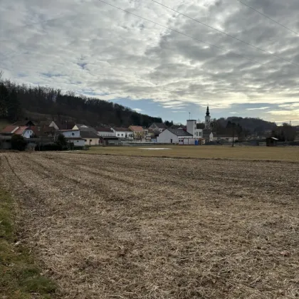 Sonniger Baugrund mit angrenzender Freifläche in ruhiger Lage - Bild 2