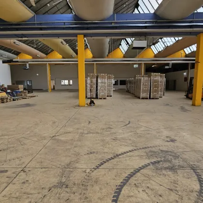 Nahe A2 / Produktions- bzw. Lagerhalle (gewerberechtlich genehmigt) mit klimatisierten Zusatzflächen - Bild 2