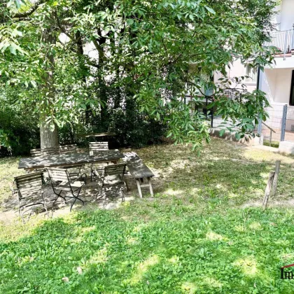 RARITÄT: Charmante Wohnung mit Terrasse und Garten nähe Kutschkermarkt - Bild 2