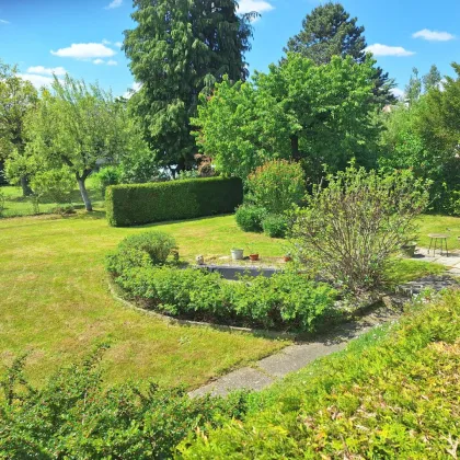 Ein Traum im Wienerwald, Bungalow mit wunderschöner Terrasse und Garten in wirklicher Ruhelage - Bild 2
