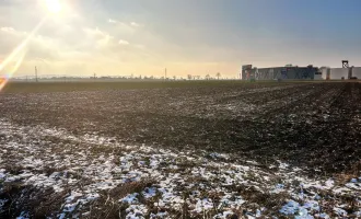 Betriebsgebiet vor den Toren von Tulln!