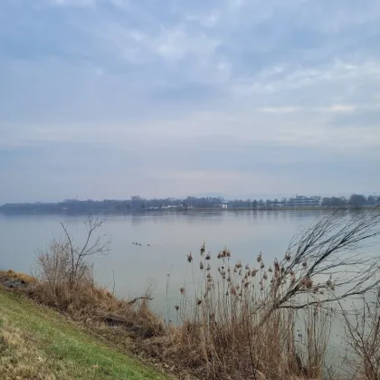 Unglaubliches Angebot! Traumgrundstück an der Donau! - Bild 3