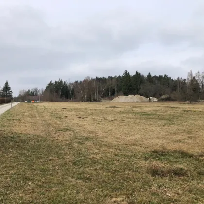 Rendite mit Photovoltaikanlage/Solaranlage auf 3,2 ha großem Baugrund im Bezirk Gmünd/NÖ - Bild 3