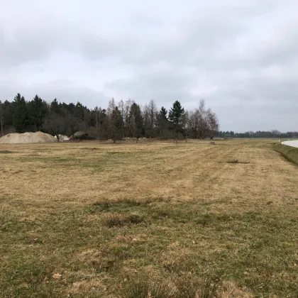 3,2 ha großer aufgeschlossener Baugrund mit touristischer Widmung - Bild 2