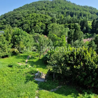 Wachau: großes Grundstück und Bachlauf + Haus mit herrlichem Ausblick - Bild 3