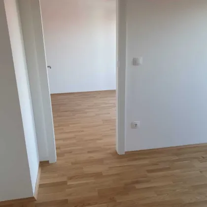 Anlageobjekt 38 m² Neubaubau Liebenauer Hauptstraße - Bild 2