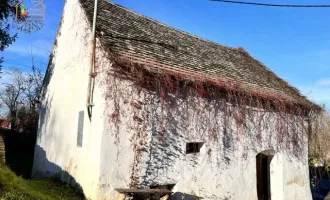 Hier lässt sich der Sommer genießen! Schönes Presshaus mit zusätzlicher Kellerröhre in Breitenwaida