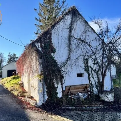 Hier lässt sich der Sommer genießen! Schönes Presshaus mit zusätzlicher Kellerröhre in Breitenwaida - Bild 3