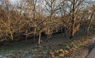 Großes Gartengrundstück in ruhiger Lage