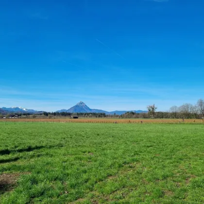 Neuer Preis! PANORAMABLICK direkt am Naturschutzgebiet - Landhausvilla mit viel Potential und ca.6 Wohnungen auf 1000m² Grundstück bei Anif - Bild 2