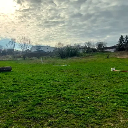 Baugrundstück 1747m² mit exklusivem Zugang zur Leitha, großem Garten, ideal für Huftiere, Enten (netto ca.500m² verbaubar) - Bild 3