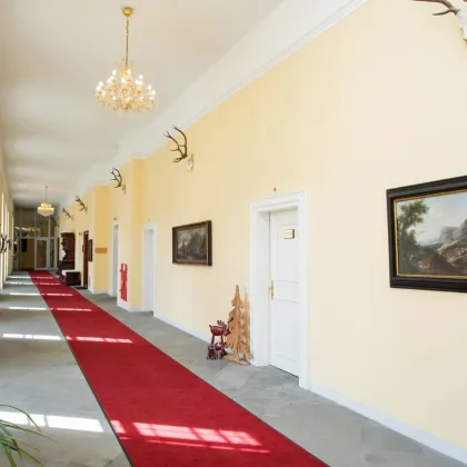 Exklusive Wohnung im Schloss mit Badeplatzanteil am Mondsee und Zweitwohnsitzgenehmigung - Bild 3