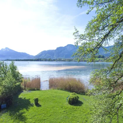 Exklusive Wohnung im Schloss mit Badeplatzanteil am Mondsee und Zweitwohnsitzgenehmigung - Bild 2