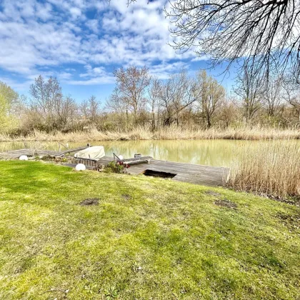 Seehaus mit direktem Seezugang im Seepark Halbinsel V, Weiden am See - Bild 2