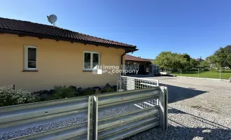 Luxuriöser Bungalow mit hochwertiger Ausstattung, Hohenems, zentrumsnah, sehr geräumige Dreier-Garage, viel Grundstücksfläche und Gartenanlage rund um das Haus, mit Terrasse, viele KFZ Außen-Stellplätze, Ruhelage / Sackgasse