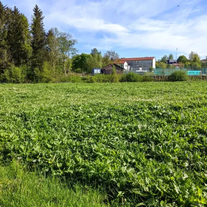 IDYLLISCH gelegener BAUGRUND nahe Ortszentrum – auch für BAUTRÄGER - Bild 3