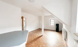 Helle Single-Wohnung nähe Zentrum!