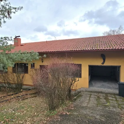 RUHELAGE: UNTERKELLERTES EINFAMILENHAUS MIT GARAGE UND GROSSEM GARTEN - Bild 3