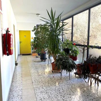 Top-Gelegenheit für Anleger: Vermietete 2-Zimmer-Wohnung mit Zukunftsperspektive in Graz-Mariatrost - Bild 3