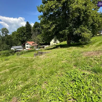 RUHIGES BAUGRUNDSTÜCK FÜR IHR TRAUMHAUS! + ERHÖHTE SONNENLAGE MIT WEITBLICK + TOP ANBINDUNG! - Bild 3