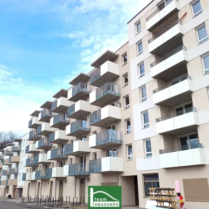 Steingötterhof: Stadt trifft Natur  - Neubau-Erstbezugswohnungen in wunderbarer Lage! - Bild 3