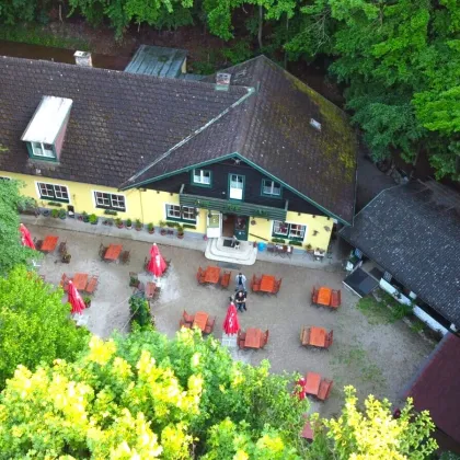 ++ Beliebtes Traditionsgasthaus im schönen Helenental! ++ - Bild 2