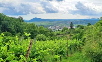 Feriengrundstück in den Weinbergen