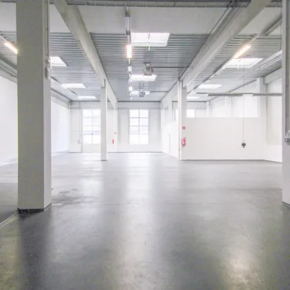 Lagerhalle 650 m2 mit Büro 300 m2 Kombination südlich von Wien, in Wr. Neudorf - Bild 3